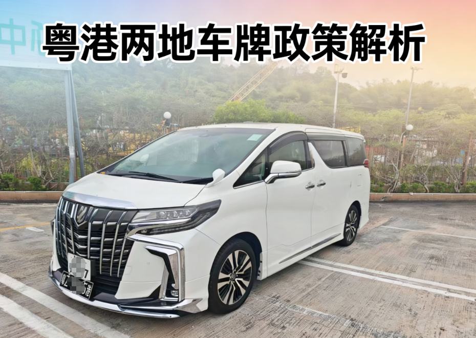 粤港两地车牌政策解析